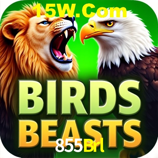 855Brl.Com